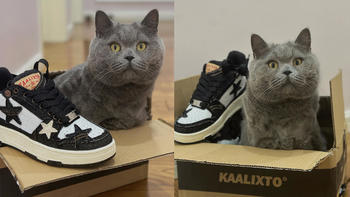 快看！！！爆款潮鞋KAALIXTO家鞋盒长出猫来啦！！！