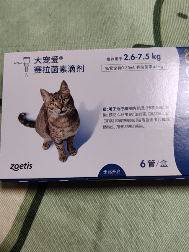 夏天到了，寄生虫的预防对猫猫来说也很重要