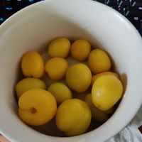 今年的小白杏依旧很好吃