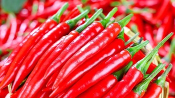 指天椒的多种食用方法，你学会了吗