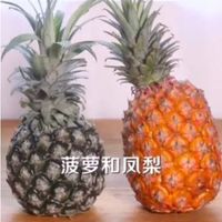 凤梨和菠萝有什么区别呢？