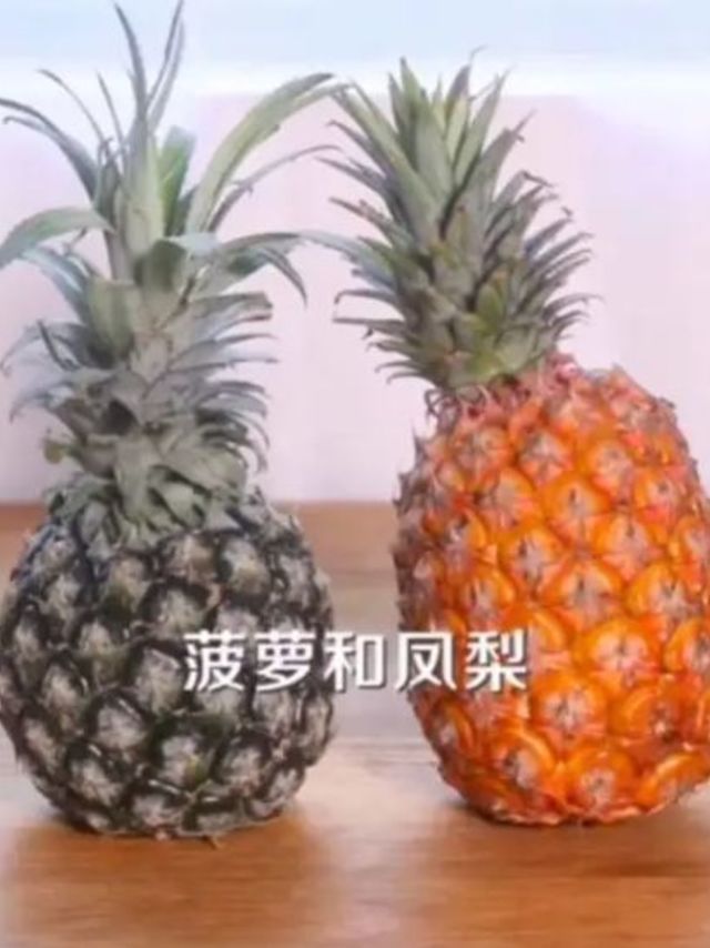 凤梨和菠萝有什么区别呢？