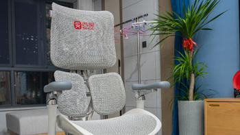 回望评测室 篇十九：高端人体工学椅——西昊Doro-S300“上身”测评