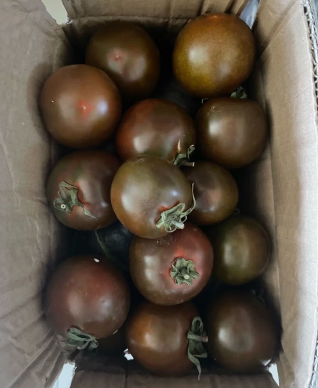 巧克力西红柿,你有尝过吗?