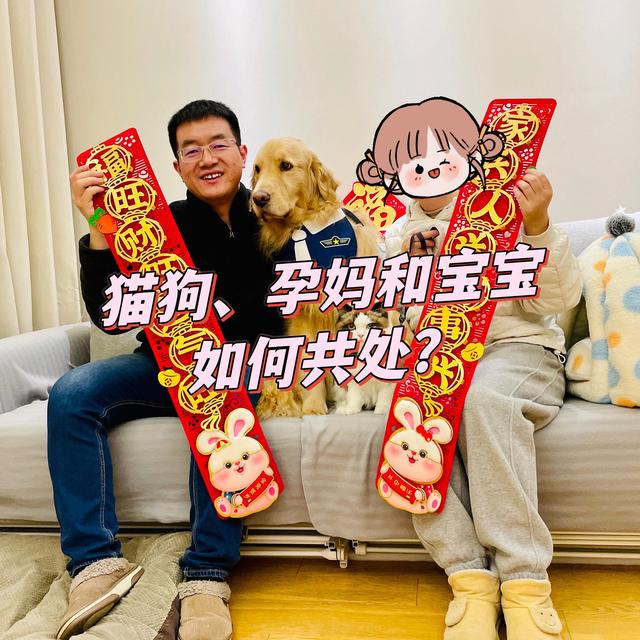 养宠和怀孕生娃真的冲突吗？历时一年，打造猫狗娃孕妈共处健康环境！