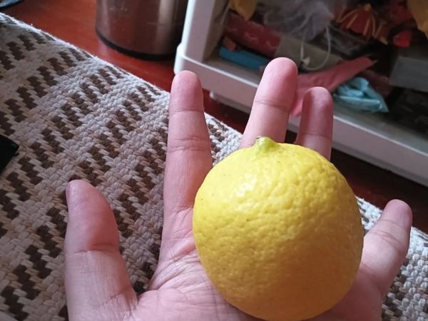 618种草大会~~🍋🍋🍋🍋柠檬