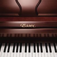 精致生活家:关于钢琴的一些知识分享