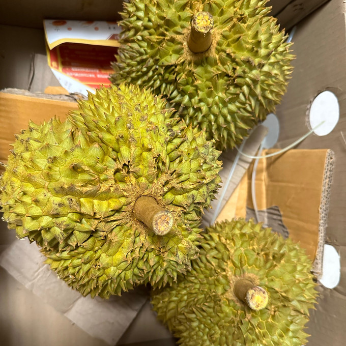 榴莲