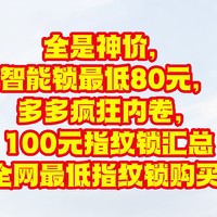 全是神价，智能锁最低80元，多多疯狂内卷，100元指纹锁汇总【9款全网最低指纹锁购买指南】