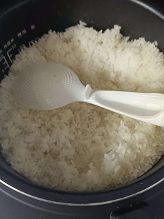 已经用上了，米饭很香！