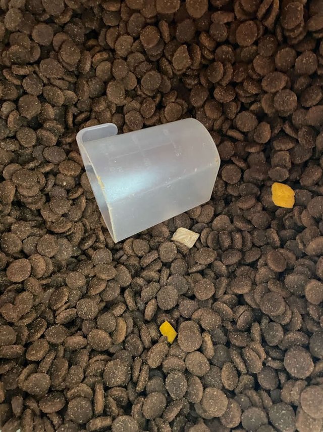 我家狗子的粮食到了！