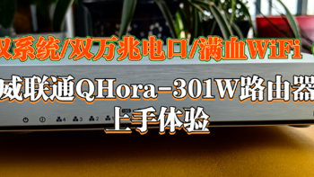 【双系统/双万兆电口/满血WiFi 6】仅需1599的威联通QHora-301W路由器是否是你理想中的神器？