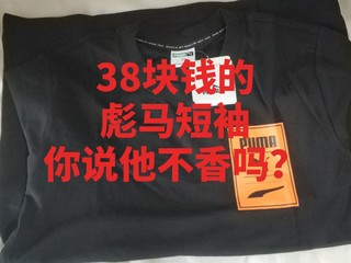 38的彪马短袖还有货，你说它不香吗？