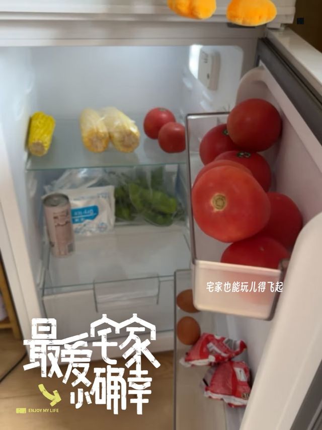 租房必备小冰箱