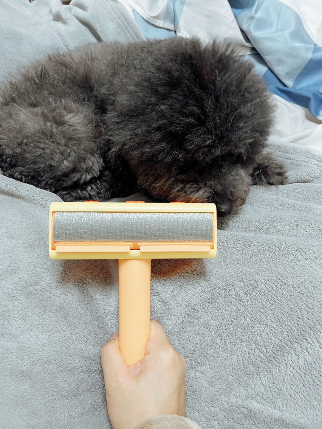 可可爱爱的宠物粘毛器