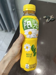 宝藏好物~~阳光菊花茶植物饮料