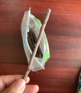 给仓鼠准备的磨牙苹果枝