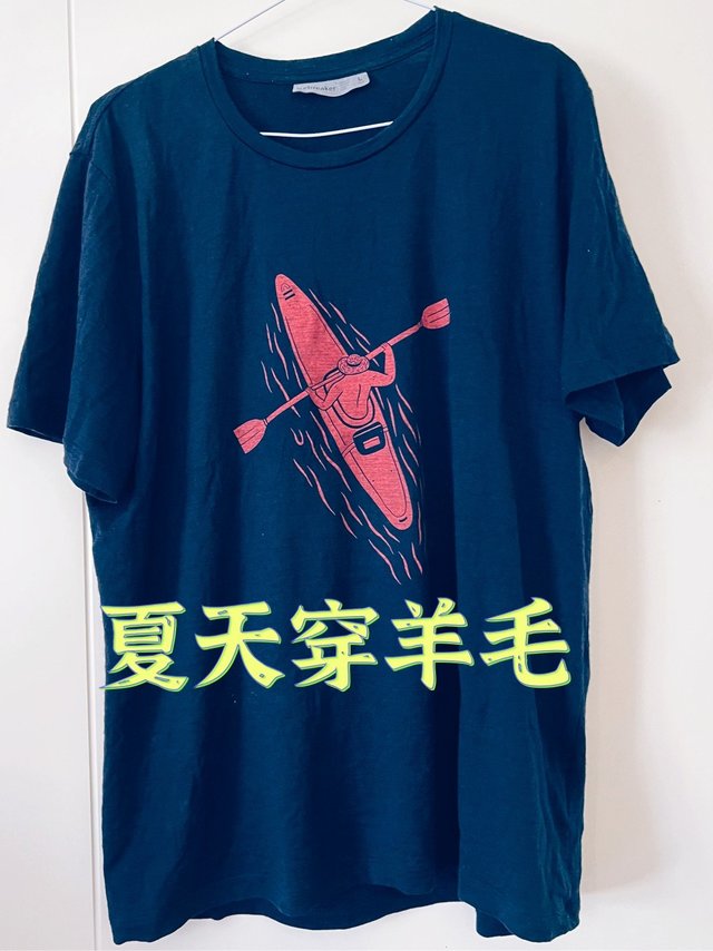 羊毛T我觉得不要买，洗了一次感觉就很旧了