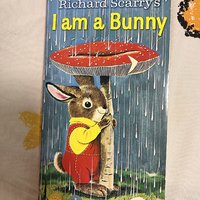 点读版的兔子书