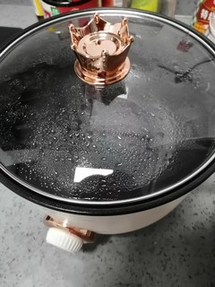 最近买了一款名为“多功能电热锅”的电饭锅