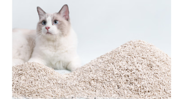 福丸混合猫砂：除臭猫砂的性价比之王？