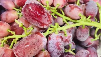 美食分享 篇一百二十七：克伦生红提，葡萄中的小糖豆