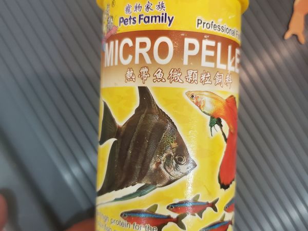 养鱼儿，每天看他们游来游去很有趣