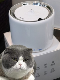 提升猫猫幸福感的饮水机