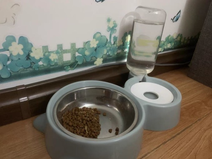 宠物食具水具