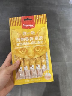 顽皮宠物猫条