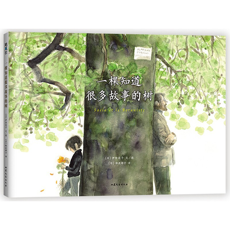 静谧与忧伤的诗意——《一棵树的故事》