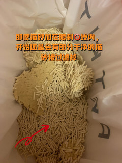 自动猫砂盆真的有必要买吗？