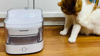 乐妈爱生活 篇一百一十四：为什么我要给猫咪买自动饮水机？