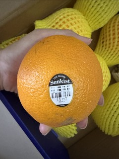 【橙子中的爱马仕】新奇士黑标美国橙