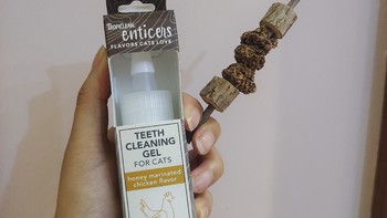 适合小猫咪清洁牙齿的液体牙膏