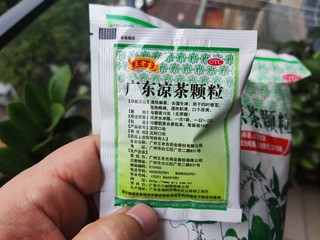 上火了冲点广东凉茶颗粒