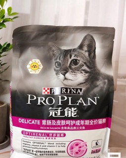 如何选择猫粮