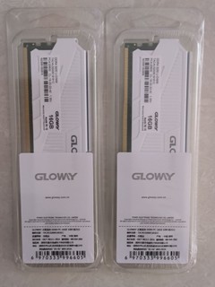 光威（Gloway）16GB DDR4 3200 上车！