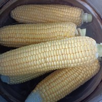 水果玉米与普通玉米：口感与烹饪方法的对比研究