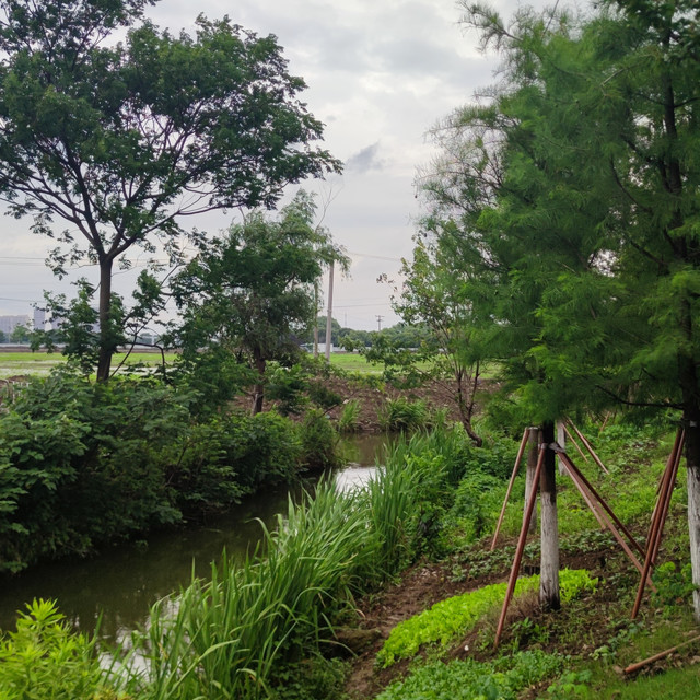 养生半小时-我在走的时候，在思考一些事情！