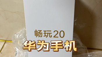 大屏老年手机｜荣耀畅玩20