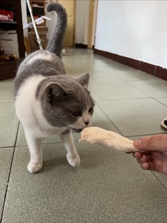 资深铲屎官强烈推荐的猫咪冻干零食鸡胸肉