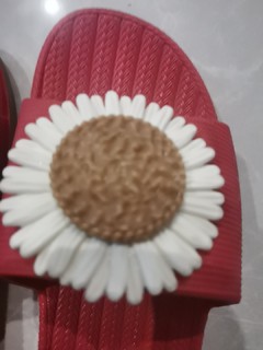 红色带白色雏菊的拖鞋