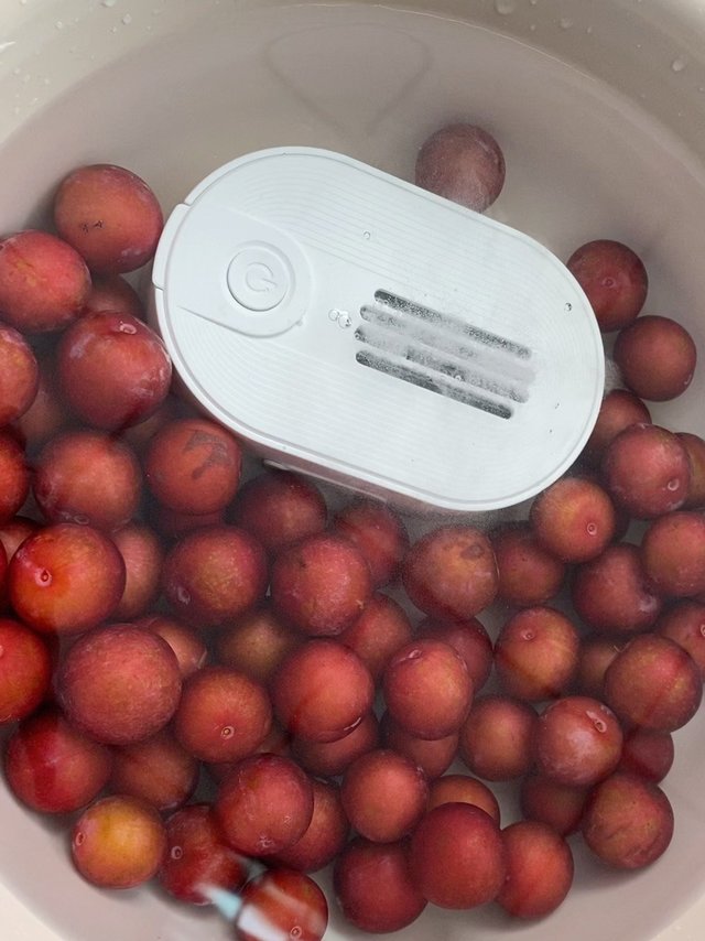 摸鱼好物@康宝果蔬清洗机