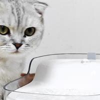 猫咪不爱喝水怎么办？那你可以试试这款宠物饮水机