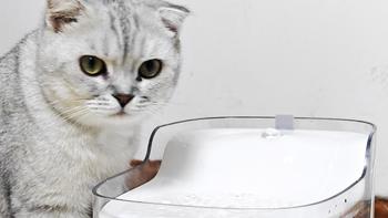 猫咪不爱喝水怎么办？那你可以试试这款宠物饮水机