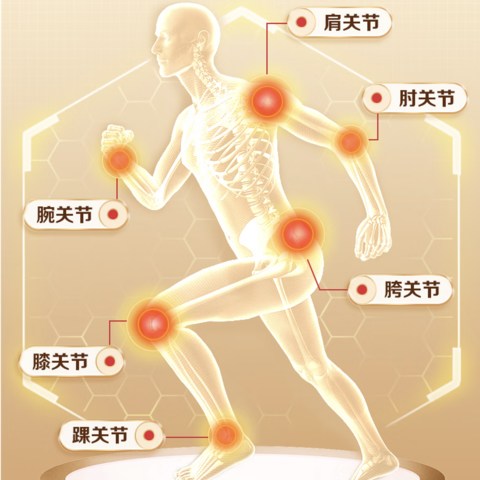 关节老化，运动总是损伤？不要担心，船长带您详尽盘点国内外氨糖软骨素产品，助您健步如飞。