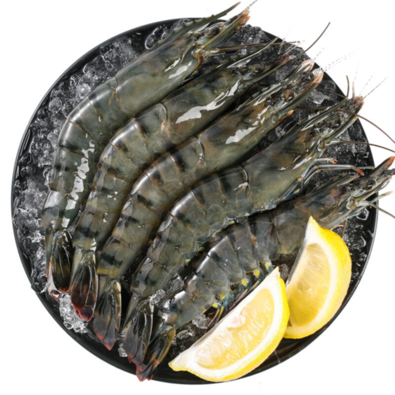 内陆地区吃虾的选择--冰冻黑虎虾