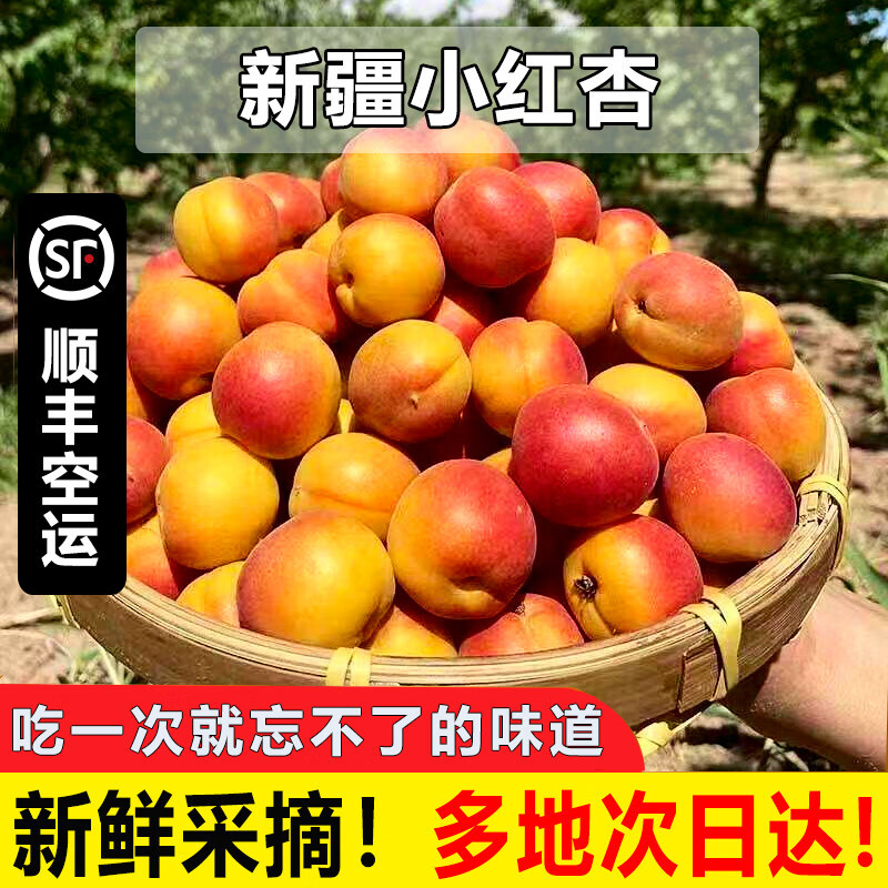 杏子梢头香蕾破，淡红褪白胭脂涴。