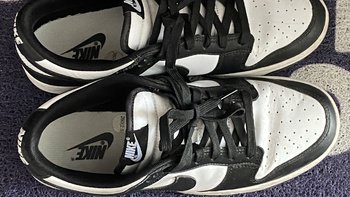 Nike 熊猫dunk，一双被高估的低端鞋